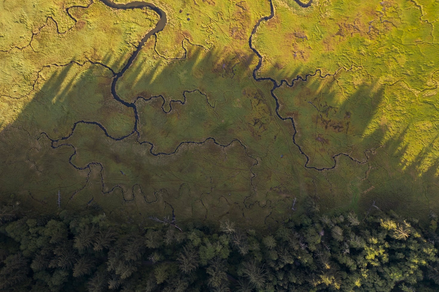 Simple Actions to Protect Biological Diversity