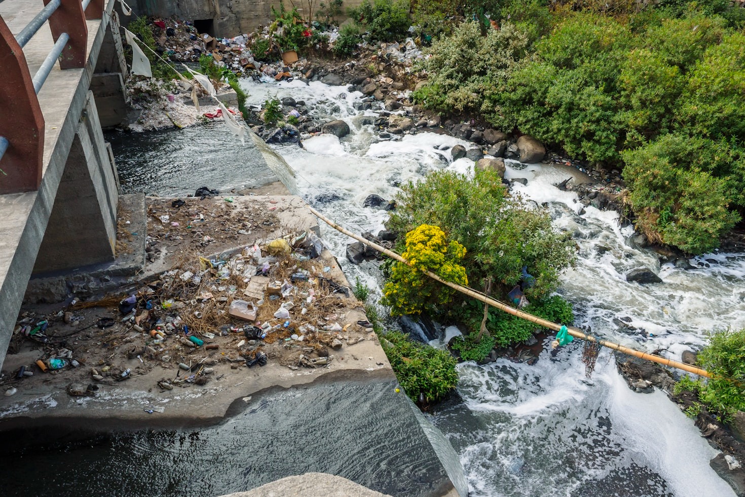 Raising Awareness on the Importance of Biodiversity